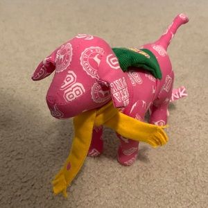 VS Pink Phi Beta Pink Dog